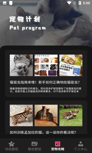 猫咪壁纸安卓版下载app