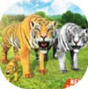 虚拟老虎家族模拟器 Virtual Tiger Family Simulator