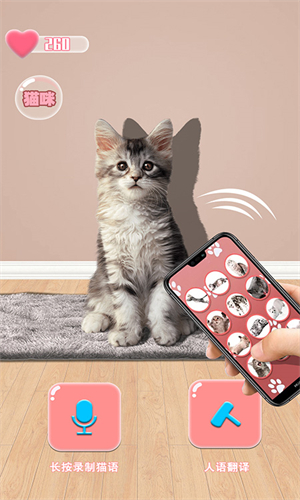 猫猫语言转换器免费版下载
