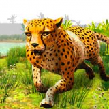 模拟猎豹生存