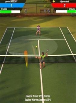 网球摔跤