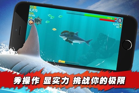 饥饿鲨进化中文