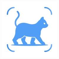 猫品种标识符:猫扫描仪