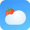 番茄天气app官方版
